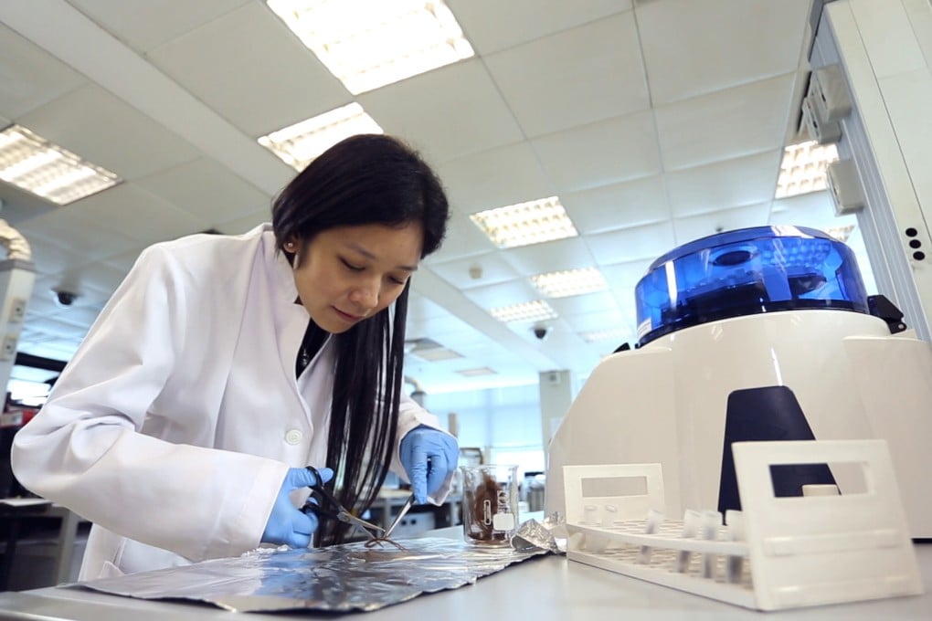 Hong Kong at world’s forefront of racing integrity measures