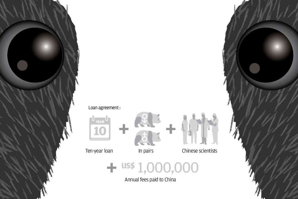 Infographic: Panda diplomacy
