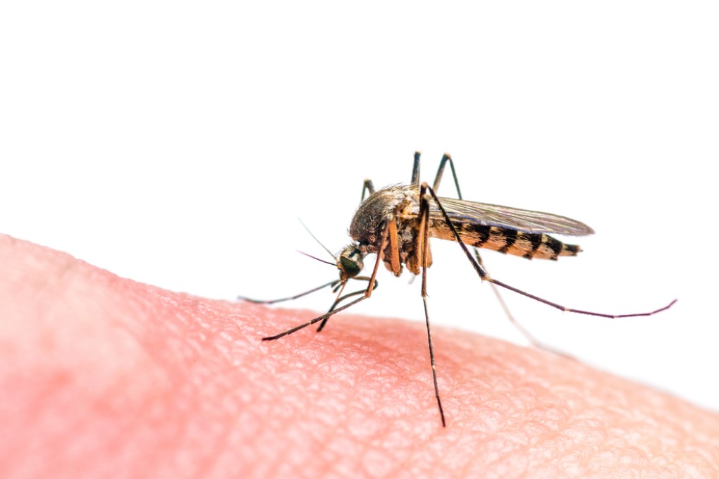 BioLytical’s new Zika detection system is based on of the company’s HIV test, which detects the antibodies that a disease produces. Photo: Nechaevkon/Shutterstock