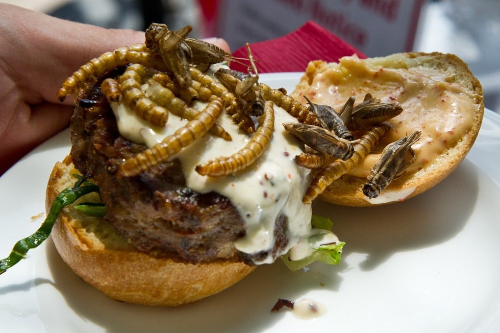 Entrepeneurs say cricket flour chips are just the beginning of endless possibilities. Photo: Karen Bleier/AFP/Getty Images