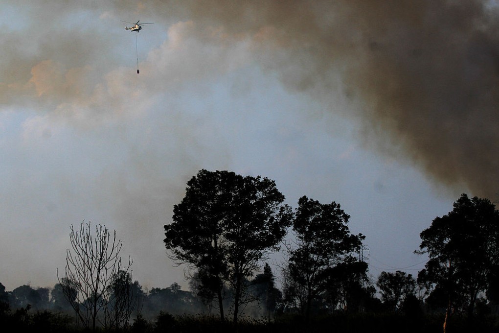 Indonesia has arrested 454 individuals in connection with forest fires so far this year, more than double the 196 arrests made in 2015. Photo: Abdul Qadir/AFP