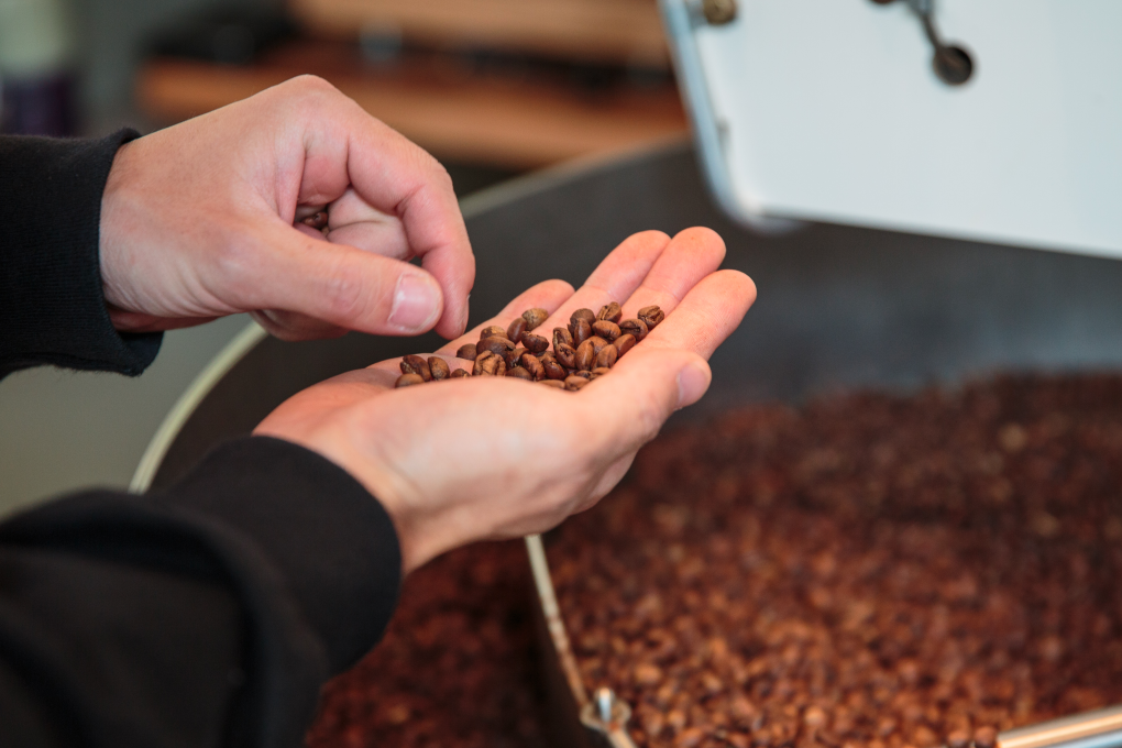 The Climate Institute of Australia says half of the world's area that's deemed suitable for growing coffee will be lost by 2050 if climate change remains unchecked. Photo: Christopher Jue/Getty Images