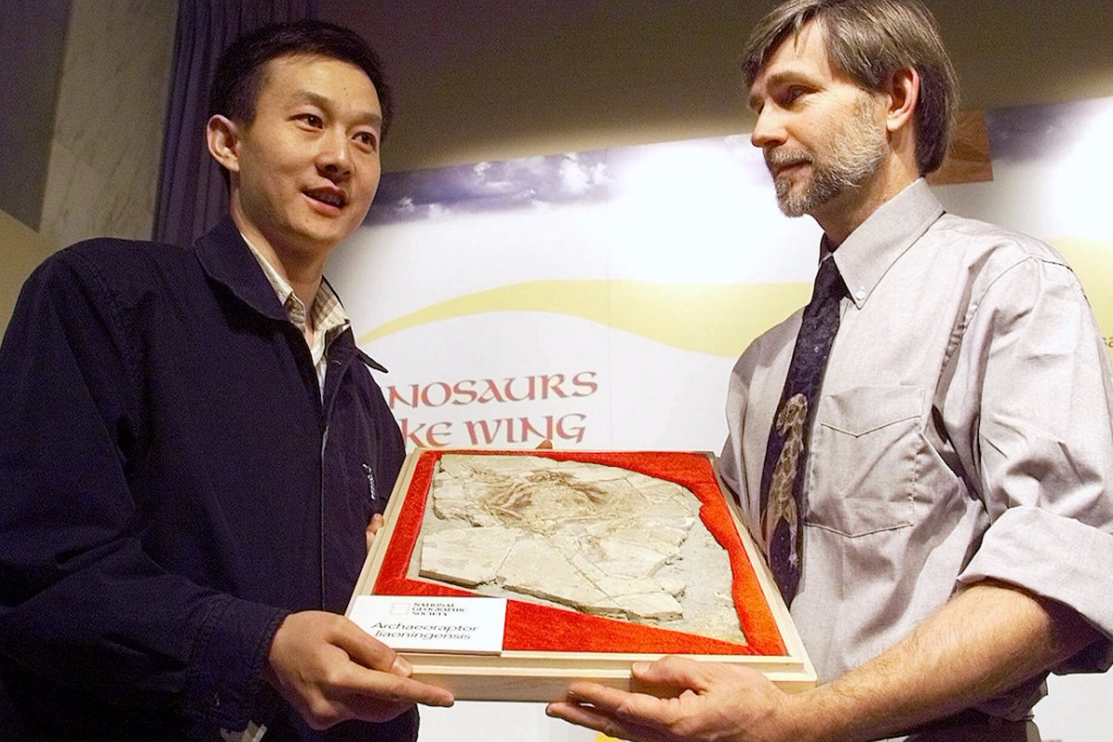 The missing link between modern birds and carnivorous dinosaurs? Not so fast. Photo: AP Photo/Dennis Cook