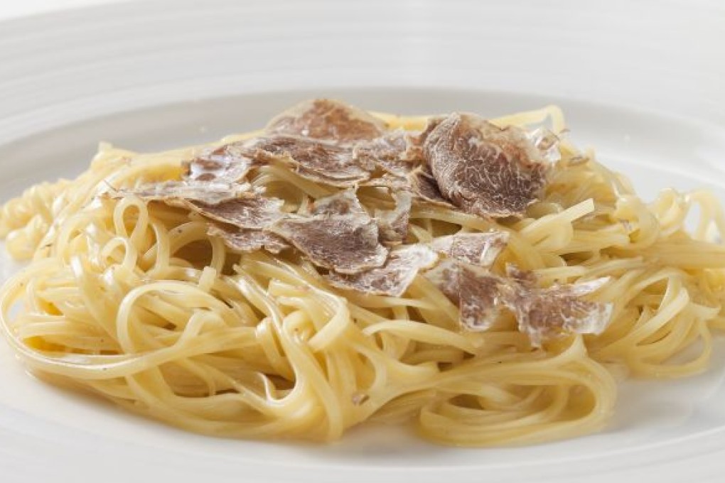 Albas style truffle tagliolini pasta Italian white butter and parmigiano
