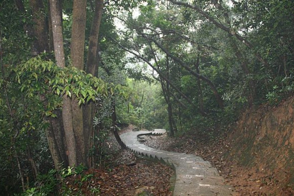 Lazy Hikes: Lion Rock Country Park to Amah Rock