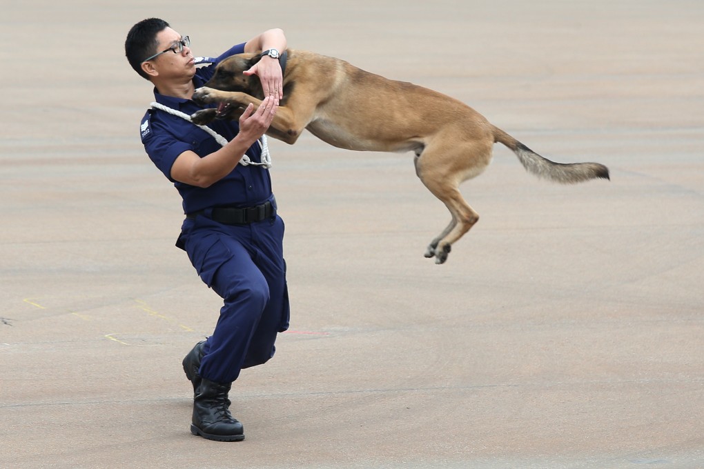 Ah Sir or not Ah Sir? That is the question. Photo: Dickson Lee/SCMP
