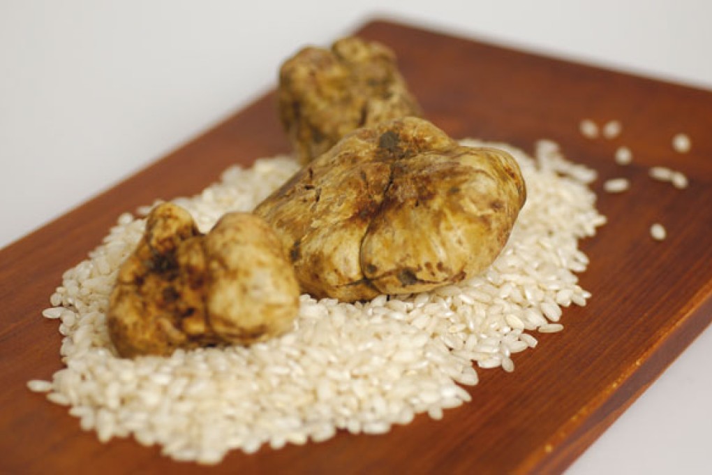 No really, we swear they're tasty: Truffles before the magic happens