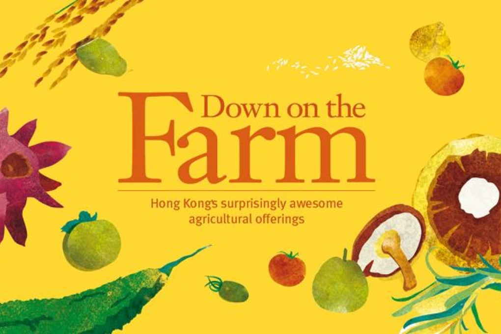 The New Hong Kong Farmers
