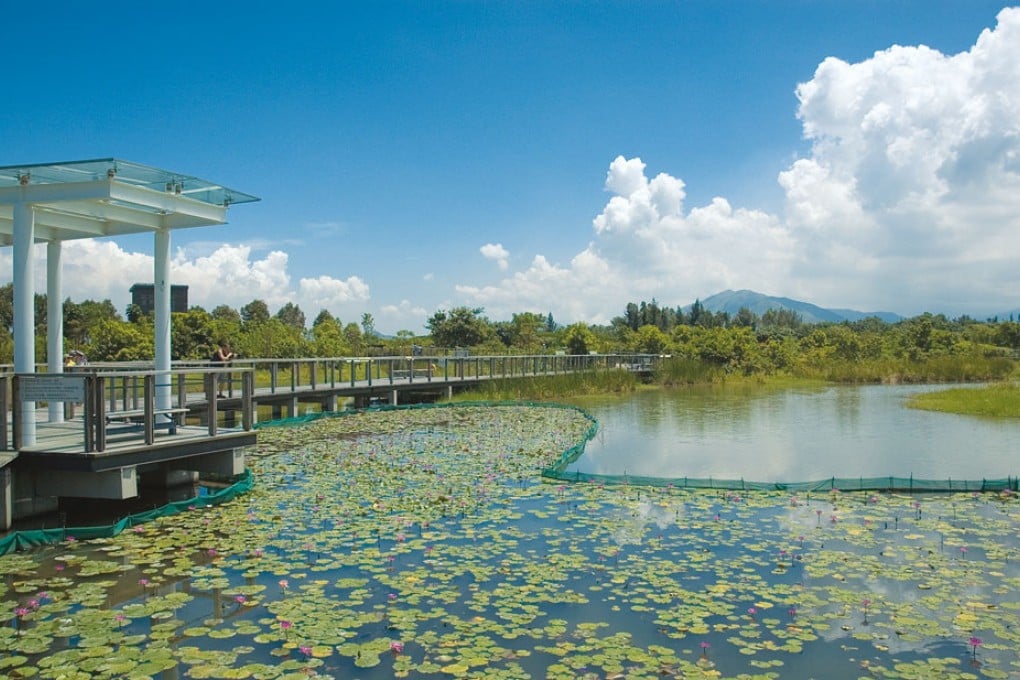 Hong Kong Wetland park