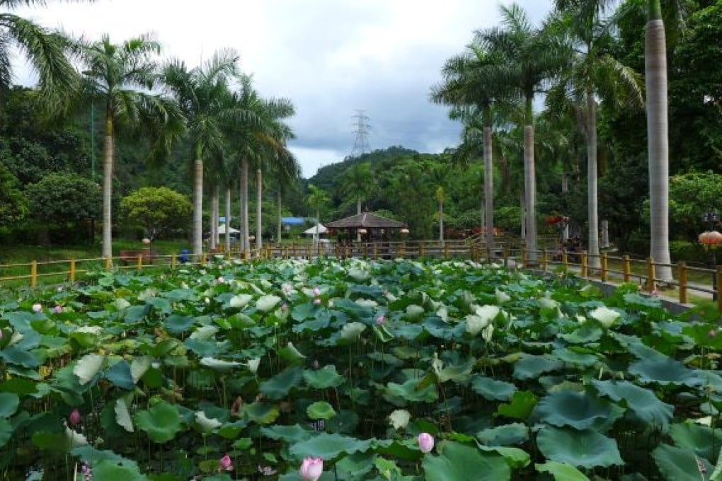 Tai Tong Ecopark