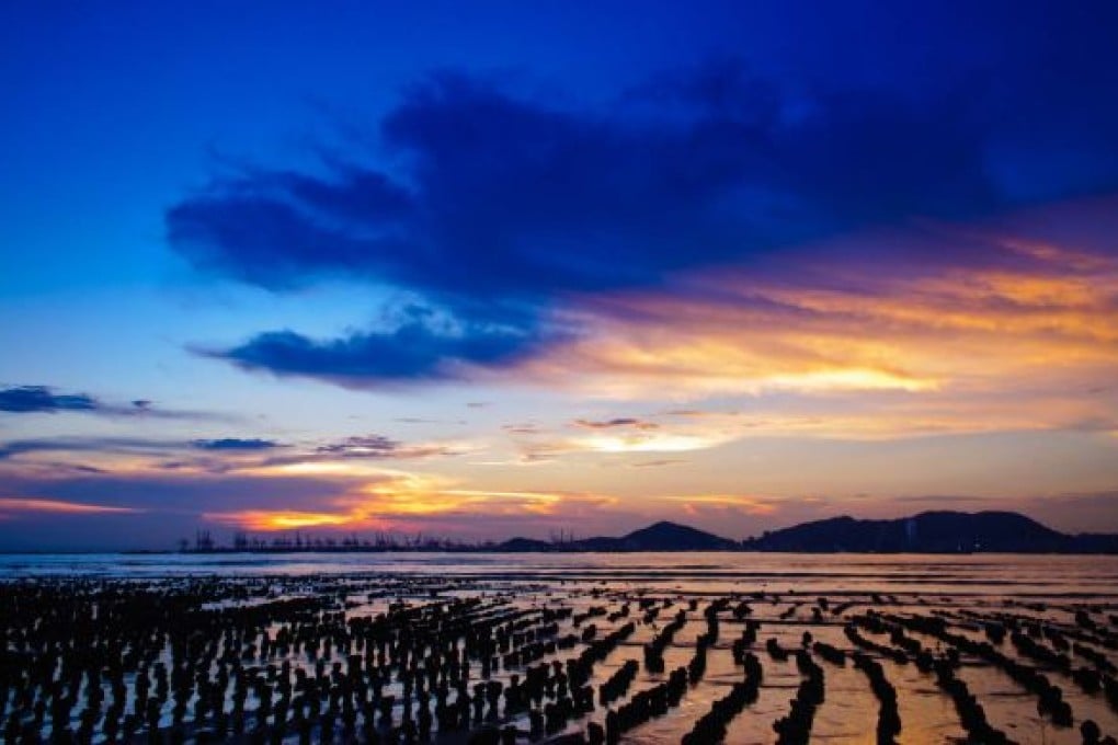 Guide to Hong Kong: Natural Heritage