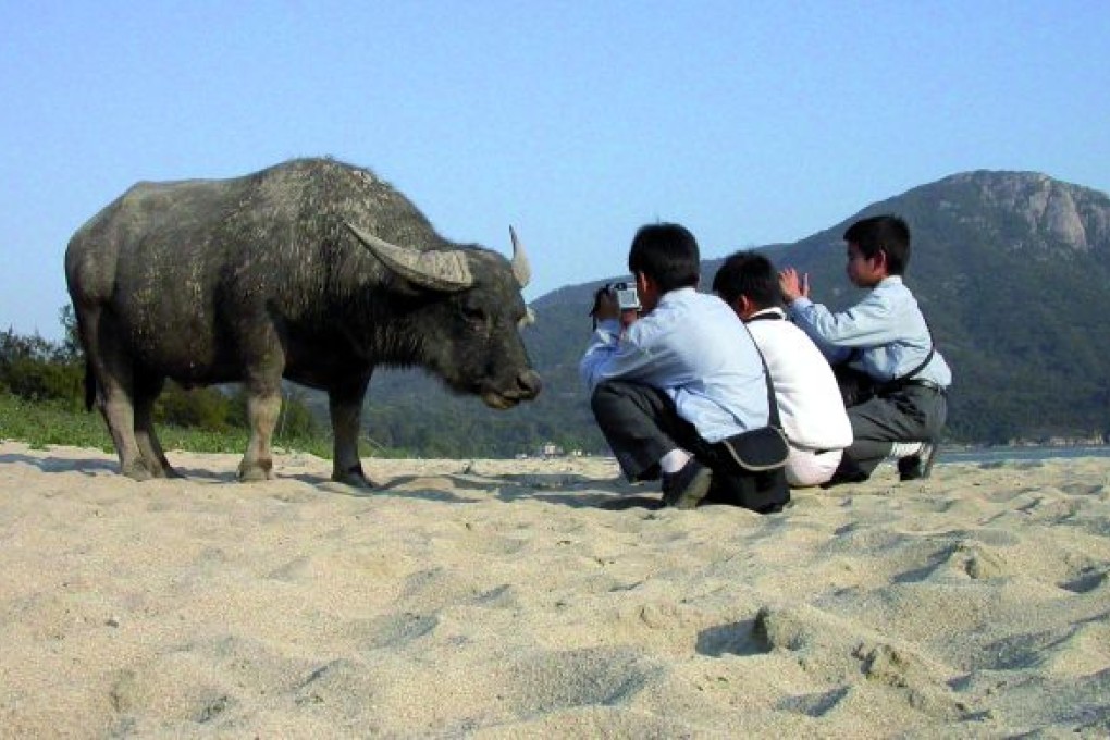 1000 Reasons to Love Hong Kong: Fun