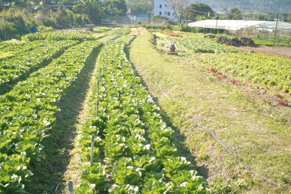 The Organic Farm, Kam Tin