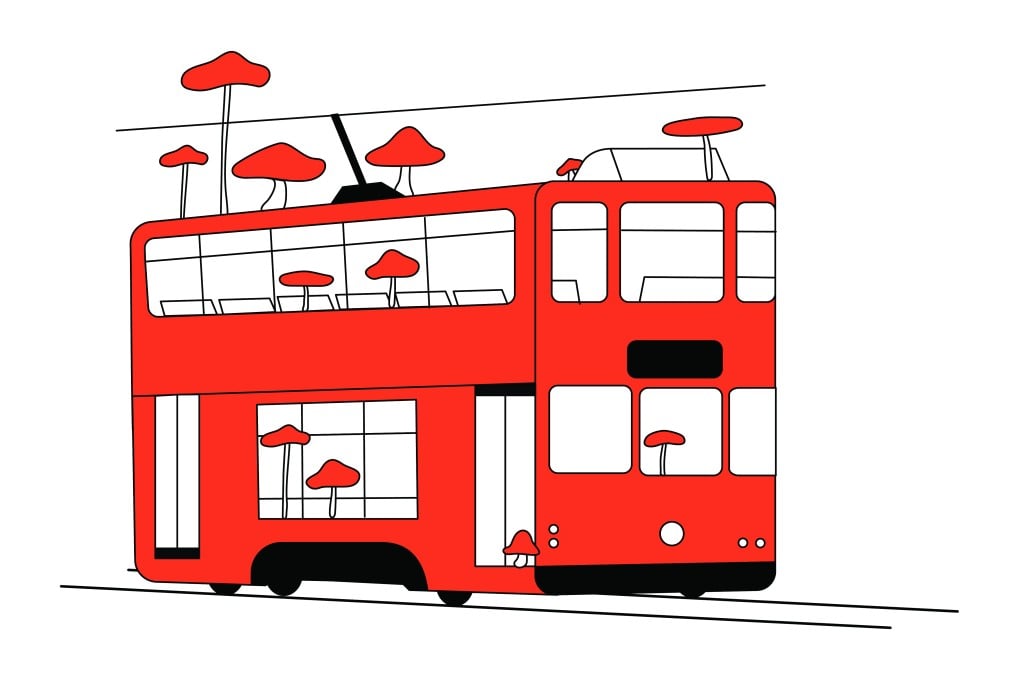 On April 18, a netizen posted a photo of a pair of mushrooms growing in a tram. Illustration: Joyce Kwok
