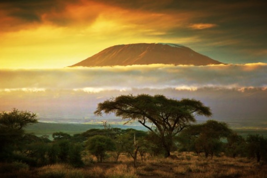 Kilimanjaro for a Cause and Africa Insights from Peter Allison