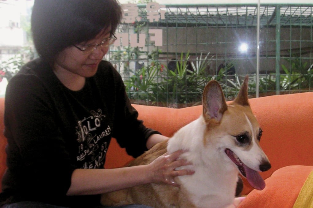 Pet Masseur Elaine Chan