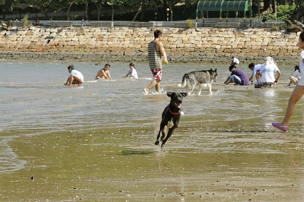 Running free at Sha Ha Beach in Sai Kung (Photo by Ali Bullock)