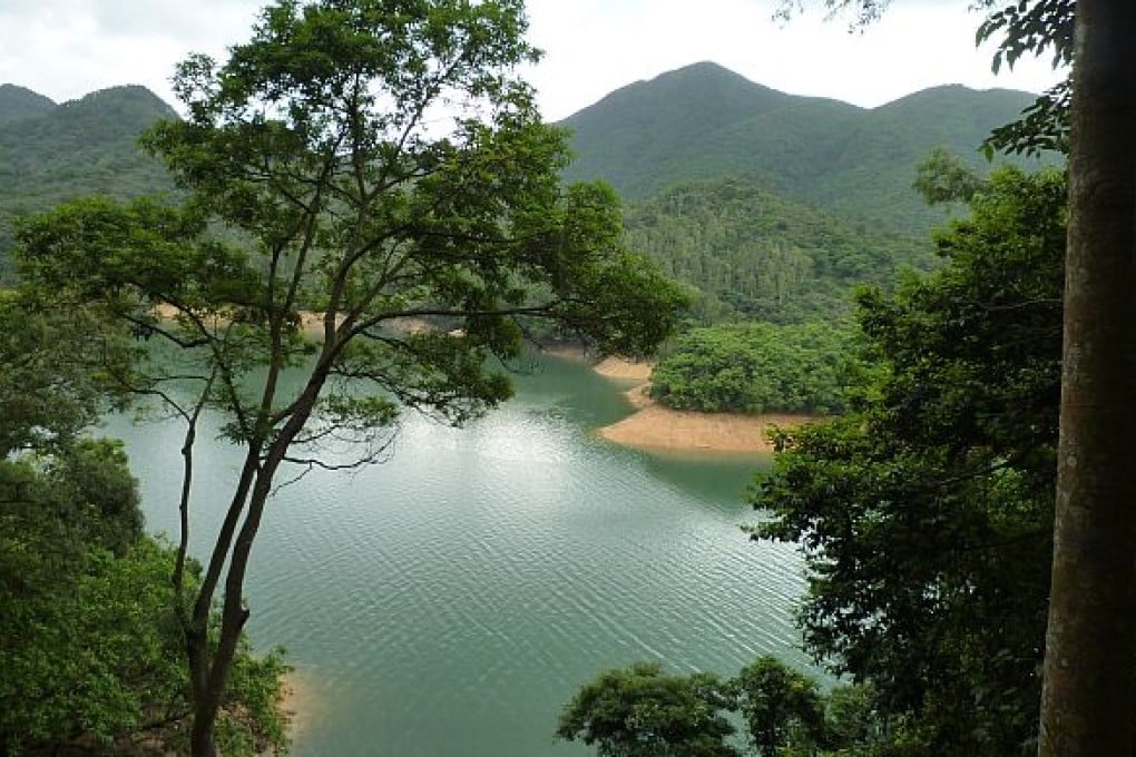 Lazy Hikes: Lower Shing Mun Reservoir