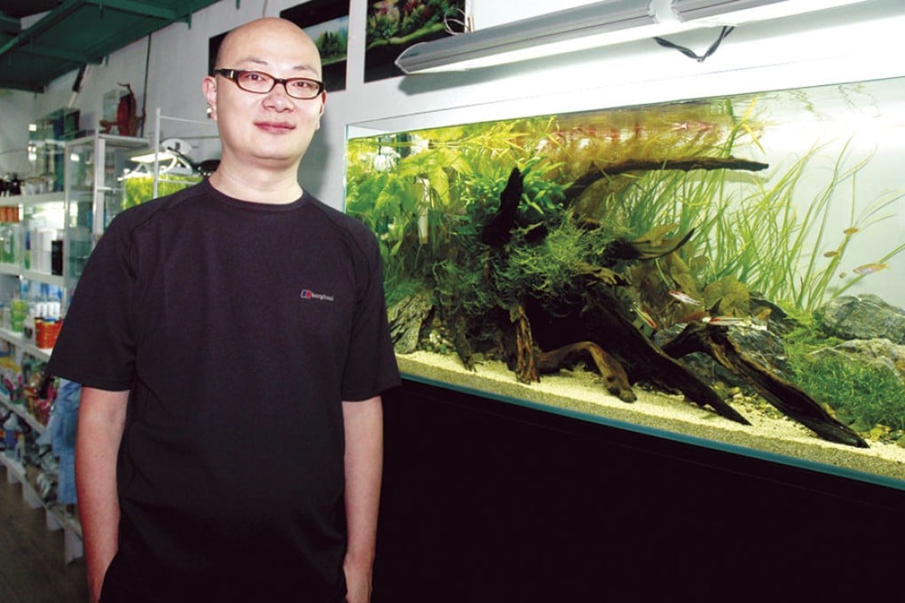 Aquascaper Dave Chow