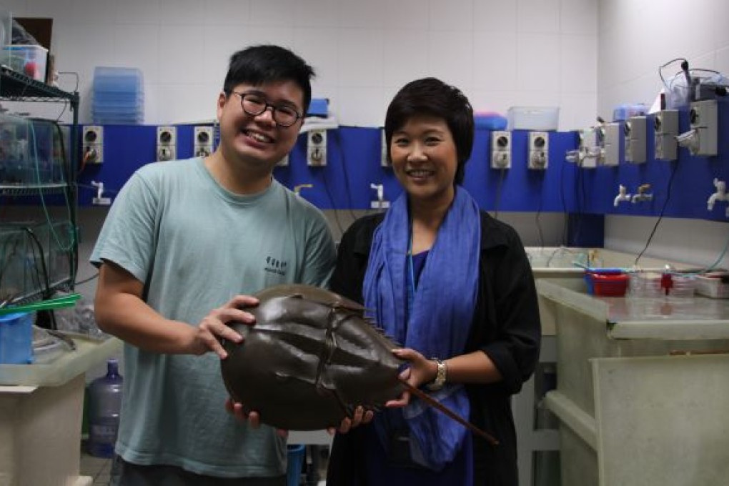 Billy Kwan (left) and Joe Cheung (right)