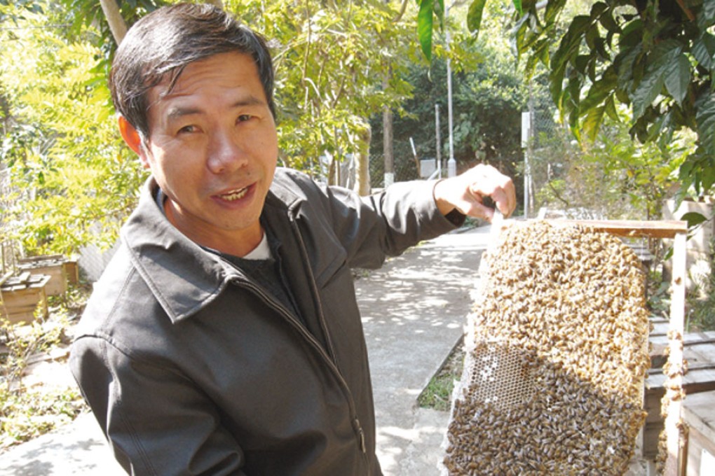 Street Talk - Yip Ki-hok