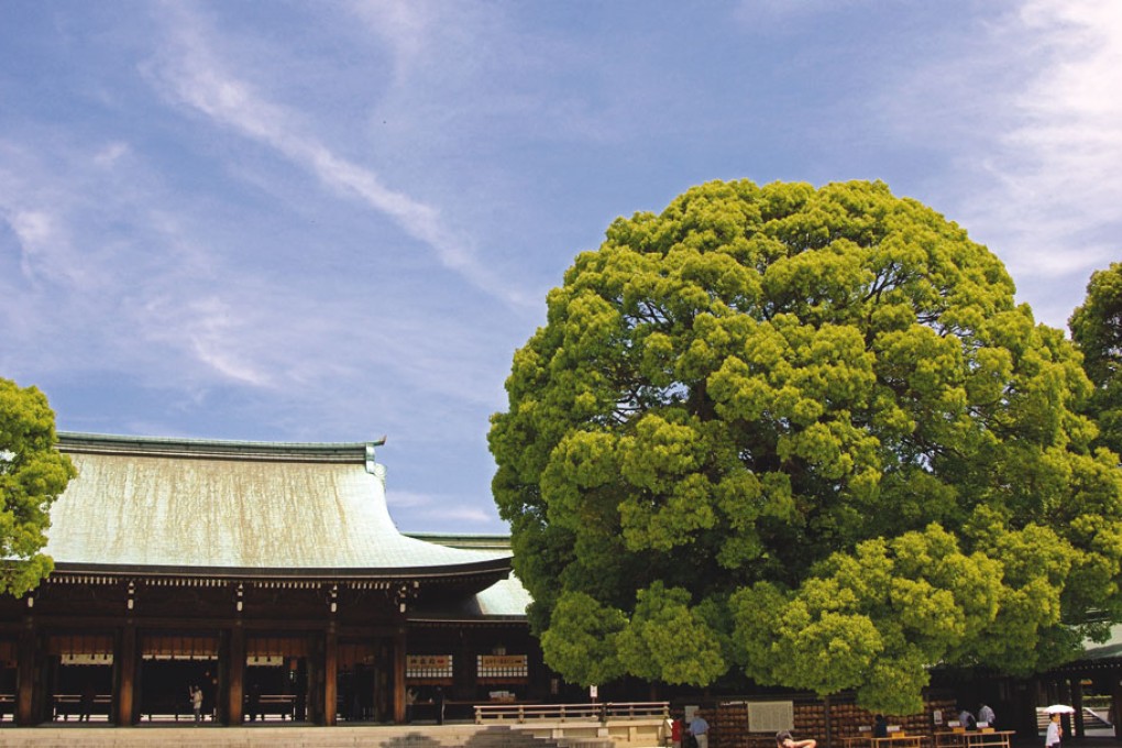 Throwing a Wobbler (1)