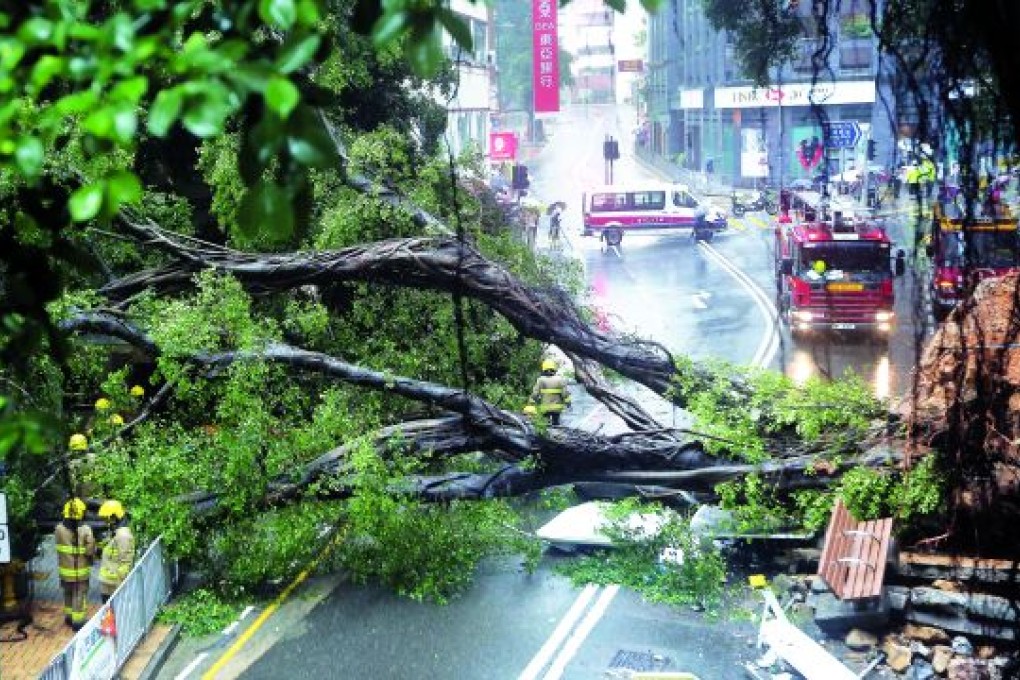 Photo: Nora Tam/SCMP