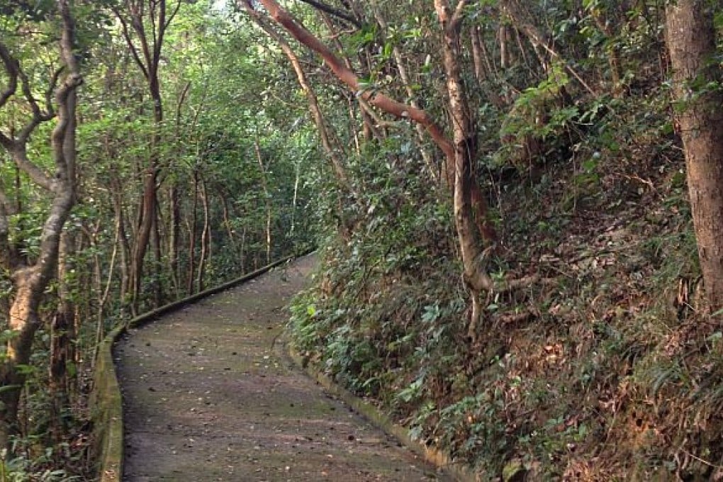 Lazy Hikes: Wan Chai Gap Road to Wong Nai Chung Road