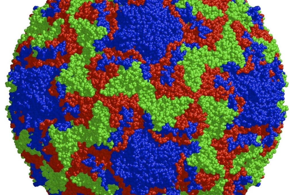 Structure of the human rhinovirus capsid, the shell surrounding the virus' genetic material. Photo: REUTERS/J.-Y. Sgro/UW-Madison