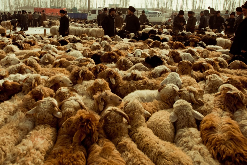 The livestock bazaar in Kashgar, Xinjiang. Photo: Bernardo de Niz