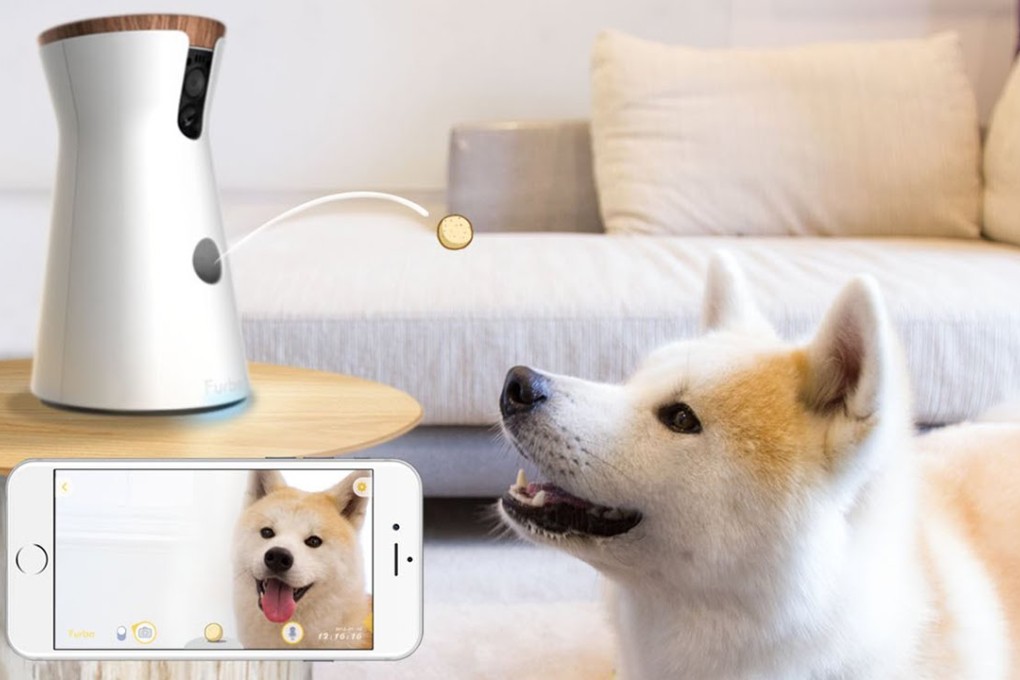 Smart-home kits keep owners connected to pampered pets