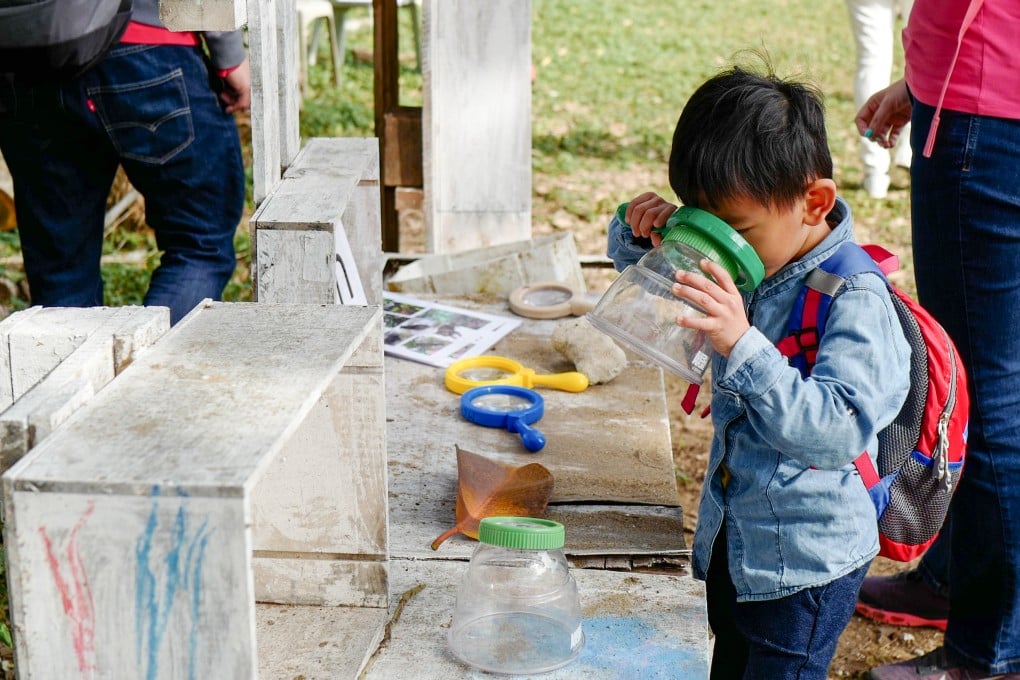 Important lessons in the great outdoors