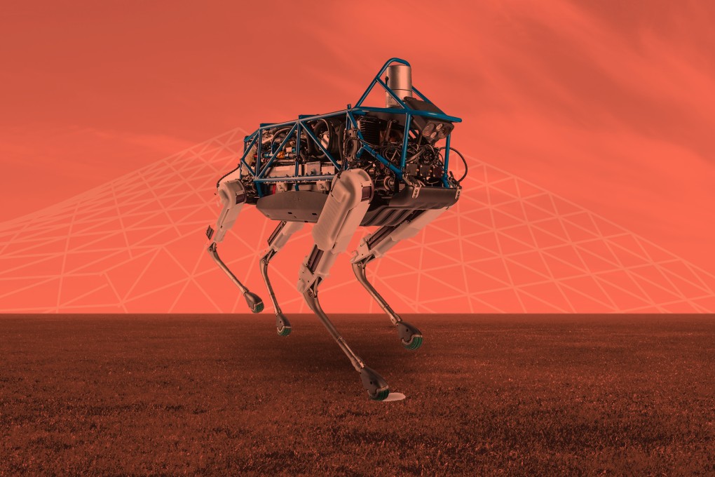 New year, new skills for robot dogs