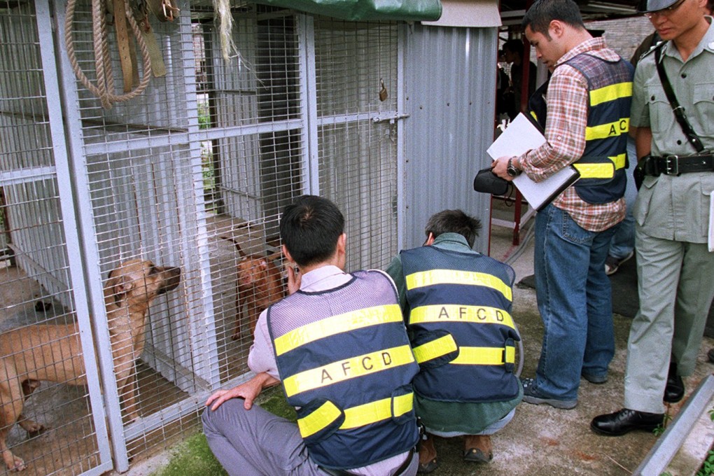 Staff from the Agriculture, Fisheries and Conservation Department raid a breeding and training ground for fighting dogs in Ngau Keng village, Pat Heung, in Hong Kong's New Territories, in April 2001. Police seized 10 unlicensed pit bull terriers. Photo: Robert Ng