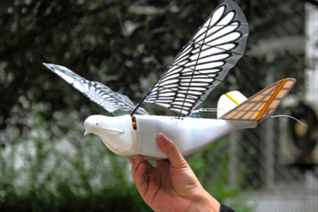 Engineers at Northwestern Polytechnical University in China's Xi'an made these birdlike drones. (Picture: Northwestern Polytechnical University)