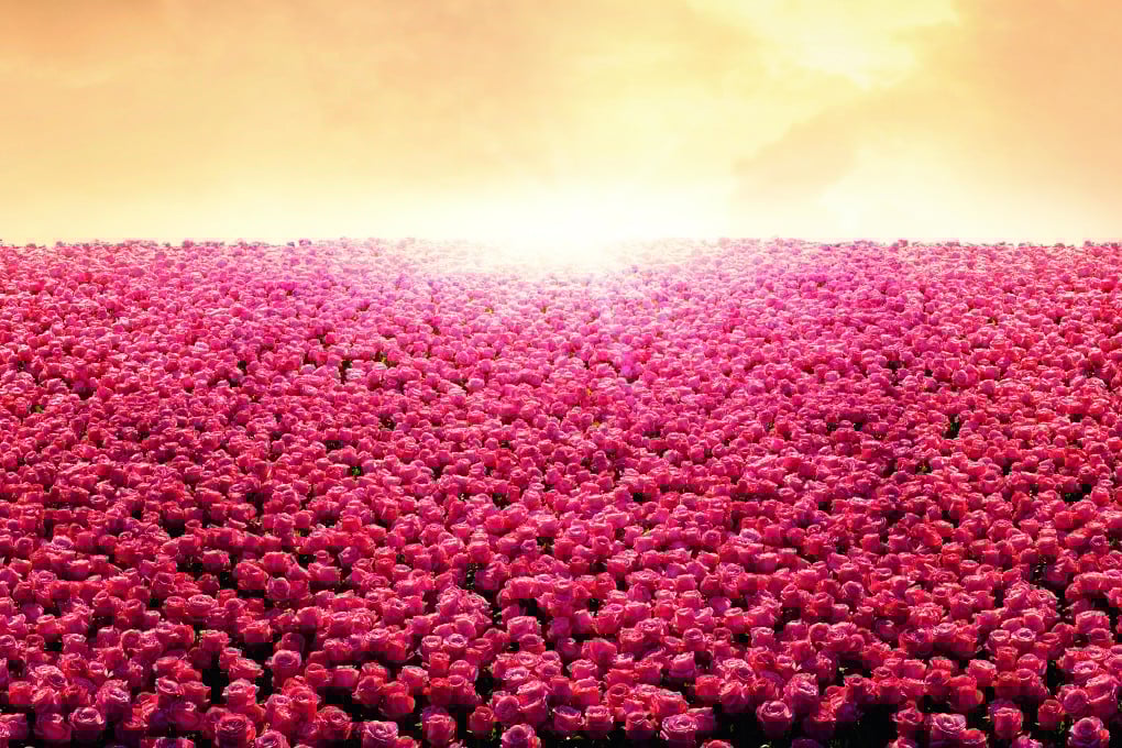 Skin is visibly transformed in 28 days.