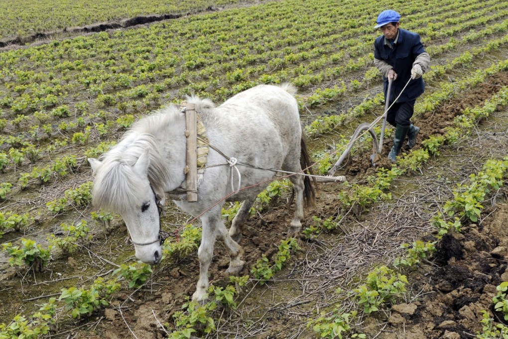 Long-awaited proposals for the reform and modernisation of agriculture in China are due to be discussed by policy officials next week. Photo: Xinhua