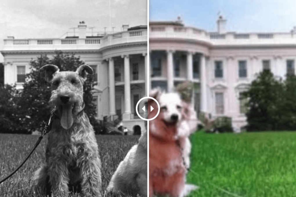 This online tool can transform your black-and-white photos into color images