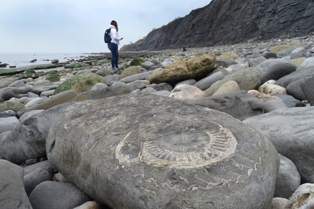 Ammonite fossils embedded in rocks along southwest England's Jurassic Coast. Photo: Simon Horn