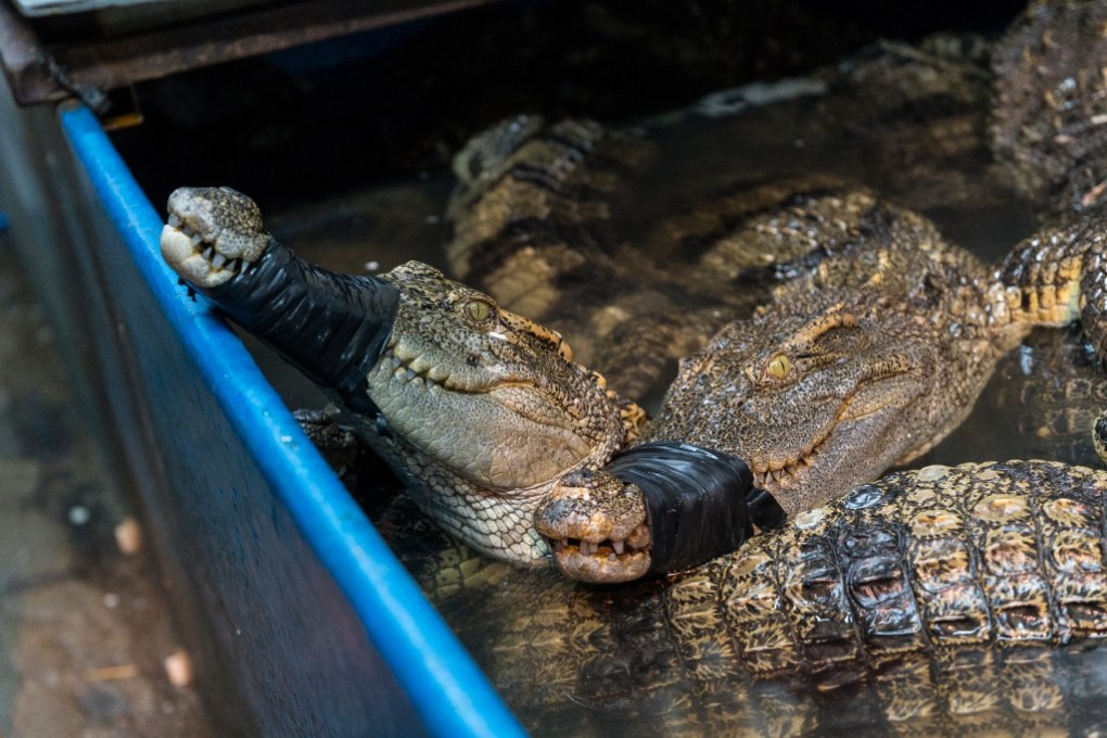 (Picture: Aleksandar Plavevski/EPA)