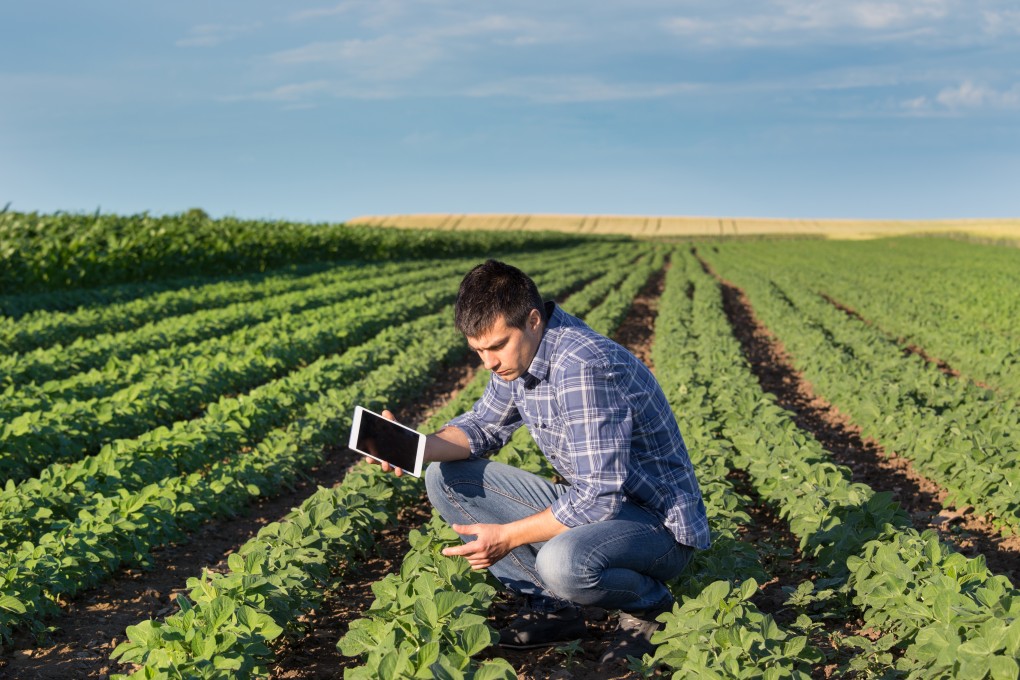 How Should Farmers Respond to Agricultural Information?