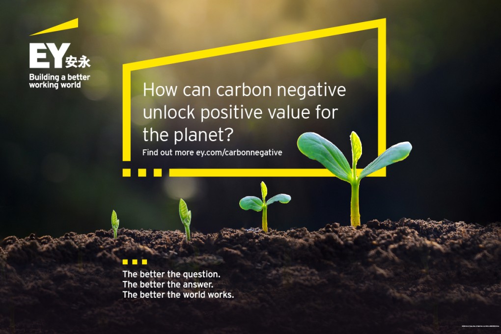 EY is now carbon negative