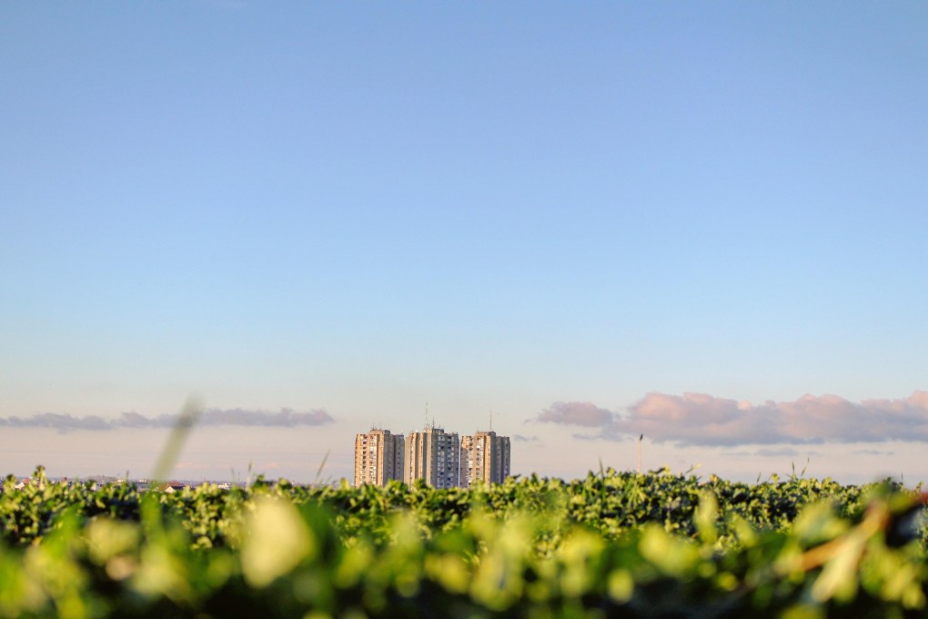 Building A Sustainable World: Moving beyond buzzwords and turning intentions into actions