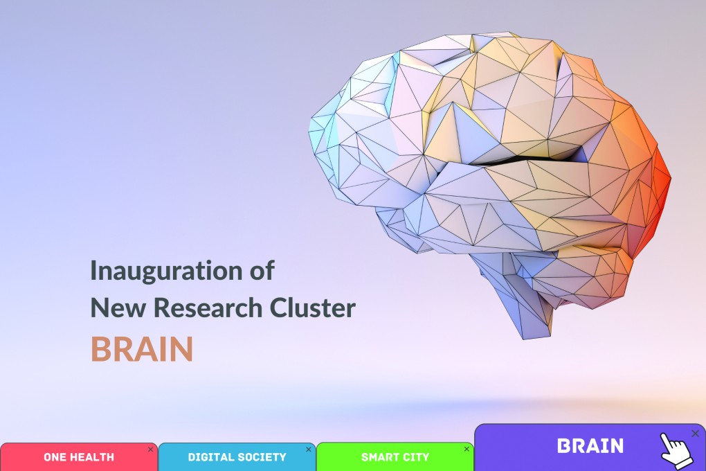 The Brain research cluster studies the human brain and its impact on affective, behavioural, and cognitive functions.