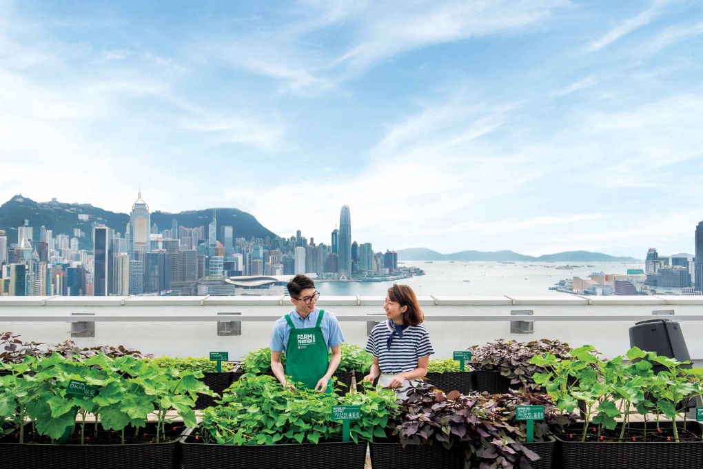 Farm Together is Sino Land's integrated green community project aimed at planting the seeds for sustainability and bringing the community closer to nature.