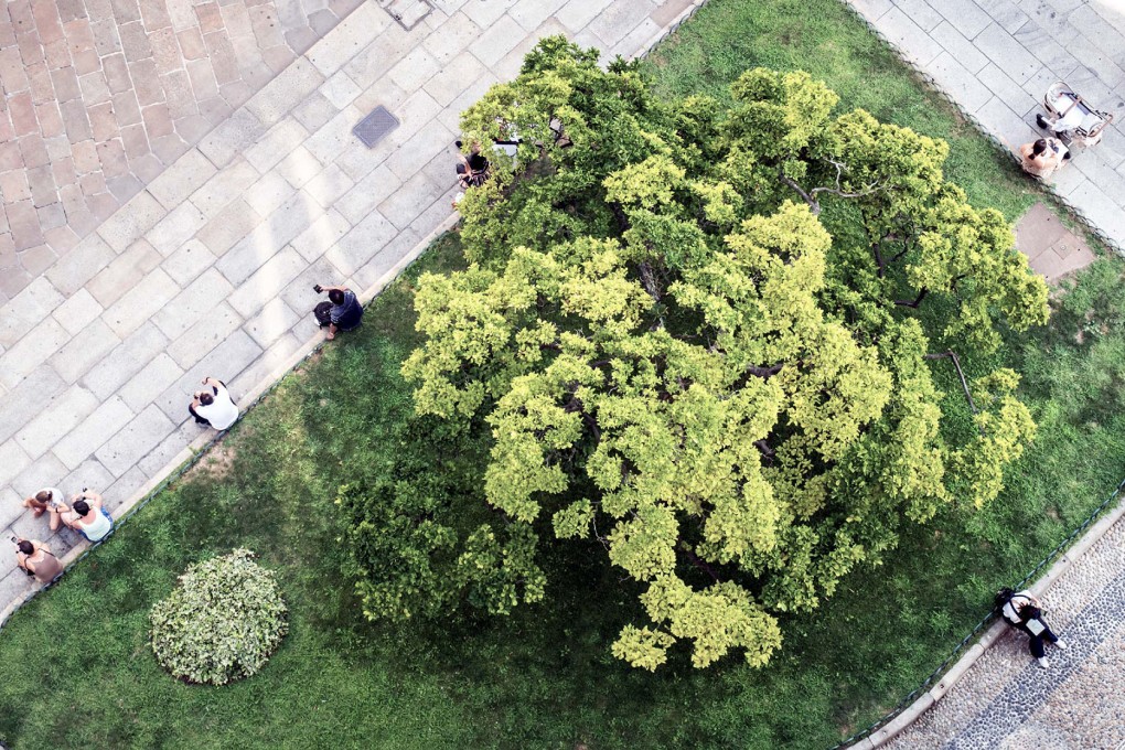 The rise of the Chief Sustainability Officer in real estate