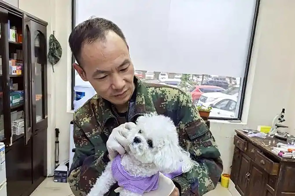 A retired military dog handler in China, dubbed the “Hua Tuo of vets,” provides low-cost treatments for pets at his simple clinic. Photo: Baidu