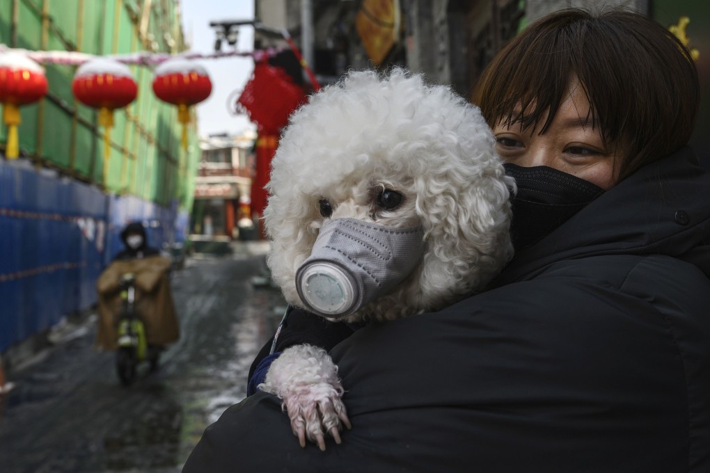 A woman holds her dog in Beijing, China. China’s pet owners are worried they will have to leave their furry friends behind if they have to go to quarantine. Photo: Getty Images
