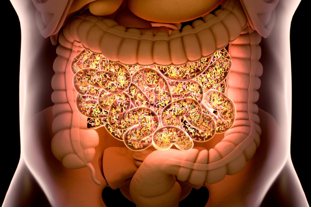The gut microbiome. Photo: Shutterstock