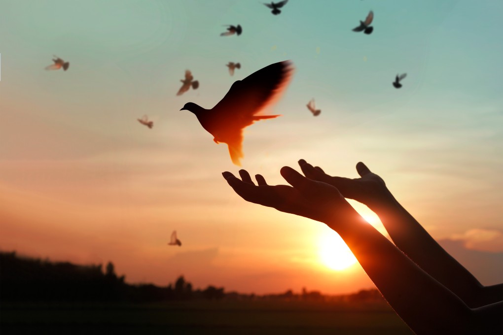 Scientists and educators worldwide are taking a deeper look at what forgiveness is and the beneficial effects it has on our physical and mental health. Photo: Shutterstock
